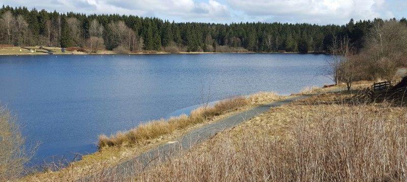 Waldsee-Ferienhaus-Mit-Kamin-W-Lan Clausthal-Zellerfeld Exterior foto